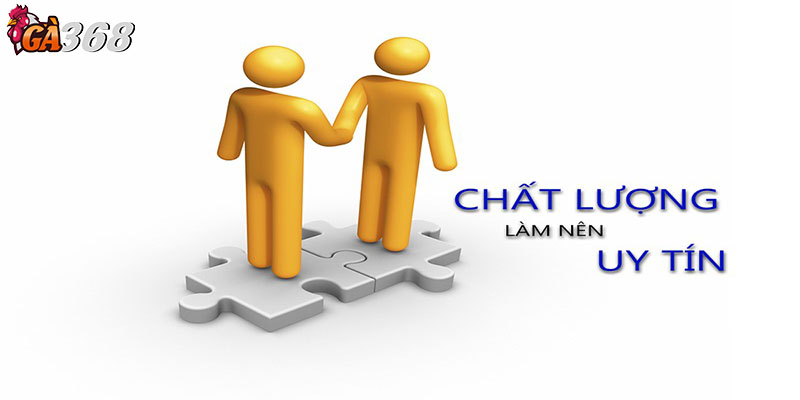 Cam kết của Ga368 đối với điều khoản và điều kiện