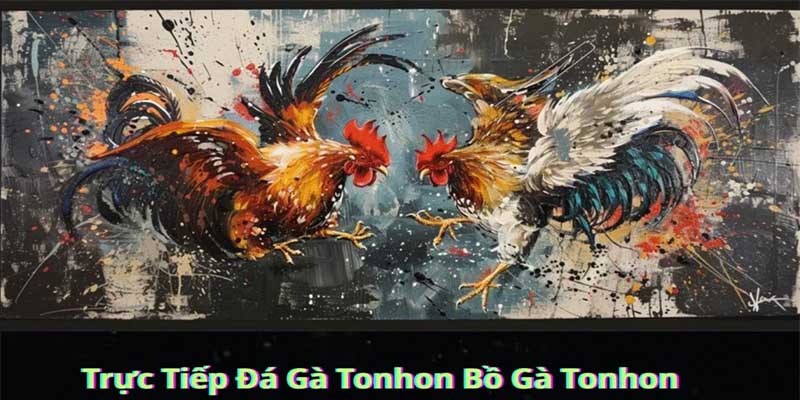 Trực tiếp gà Tonhon