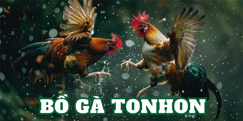 Các bước xem trực tiếp gà Tonhon hiệu quả